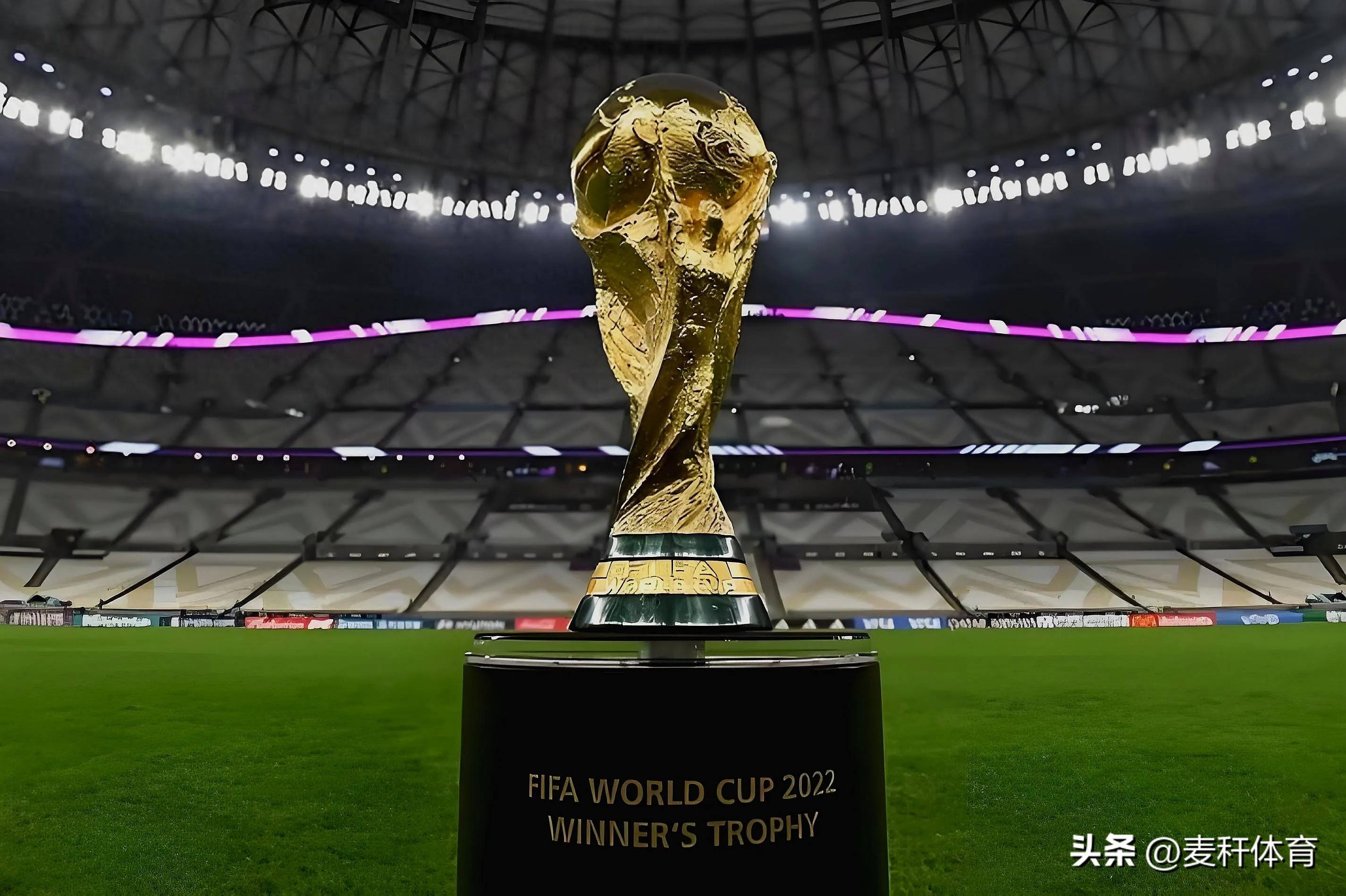 引发了讨论 引发了讨论